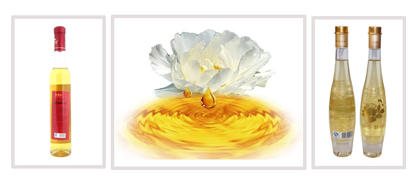 ʳ���͹��b����